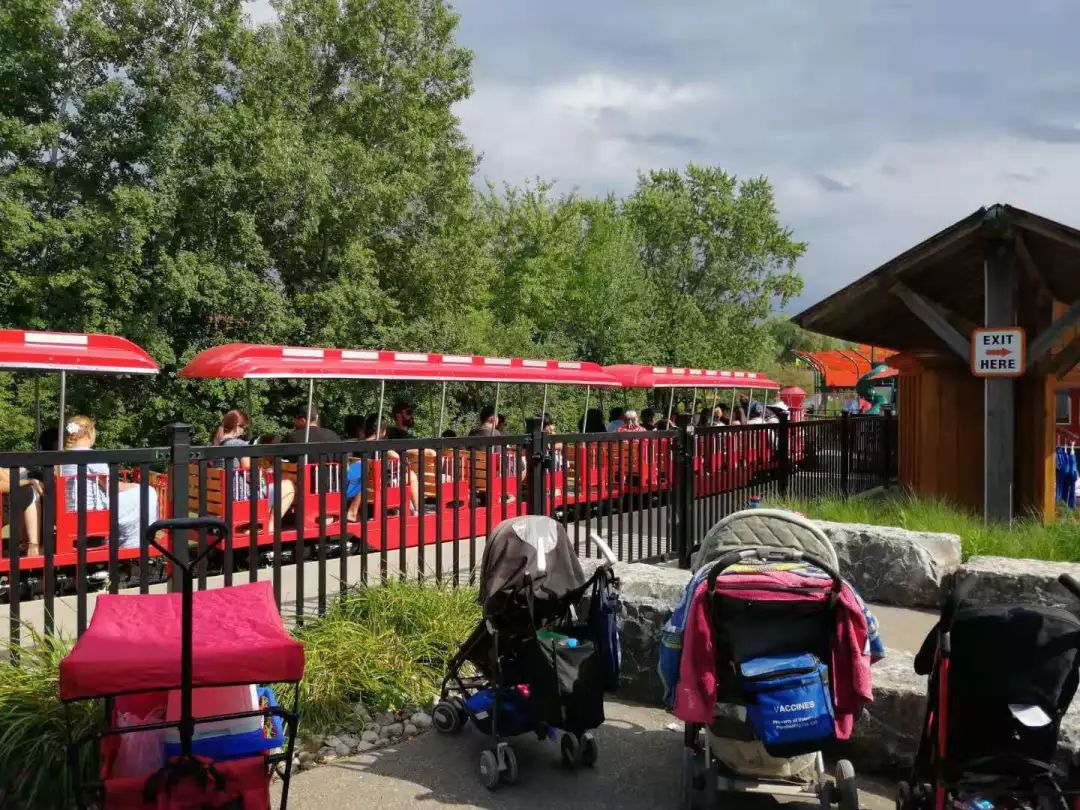 为长周末操碎心：野生动物园Safari一日游打卡实拍攻略