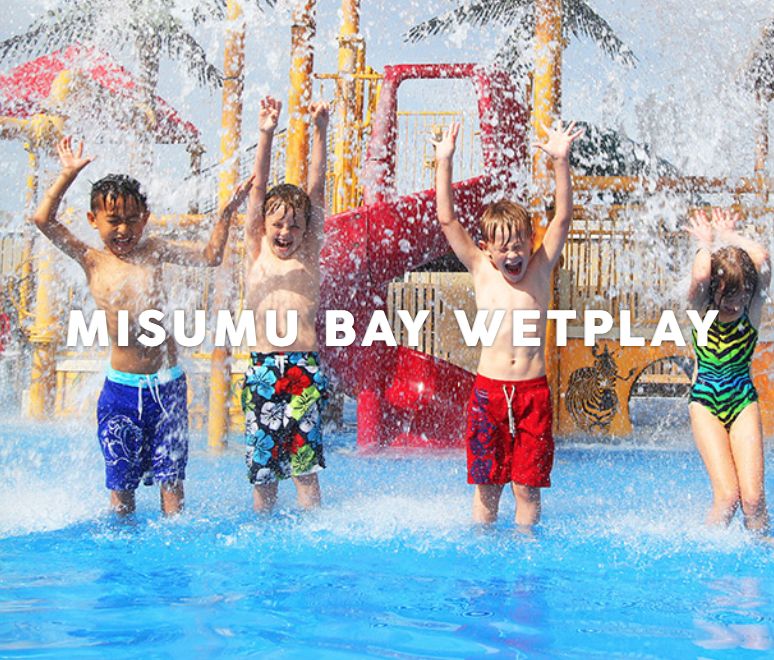 为长周末操碎心：野生动物园Safari一日游打卡实拍攻略