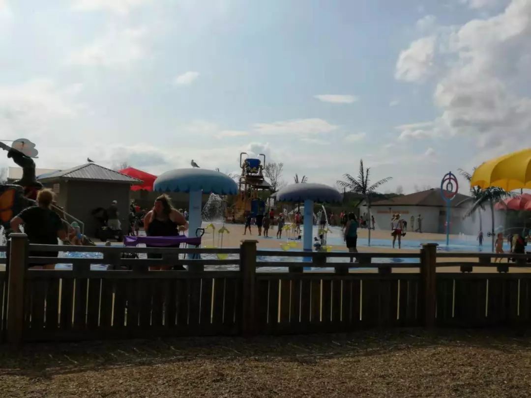 为长周末操碎心：野生动物园Safari一日游打卡实拍攻略