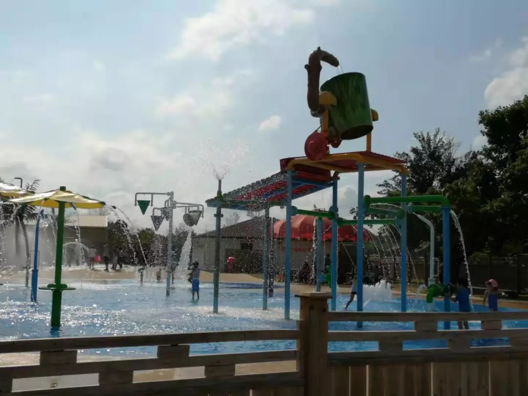 为长周末操碎心：野生动物园Safari一日游打卡实拍攻略