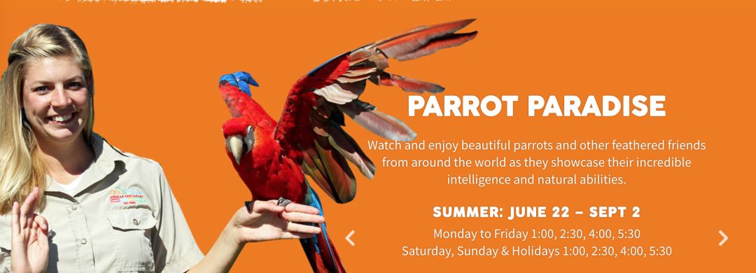 为长周末操碎心：野生动物园Safari一日游打卡实拍攻略