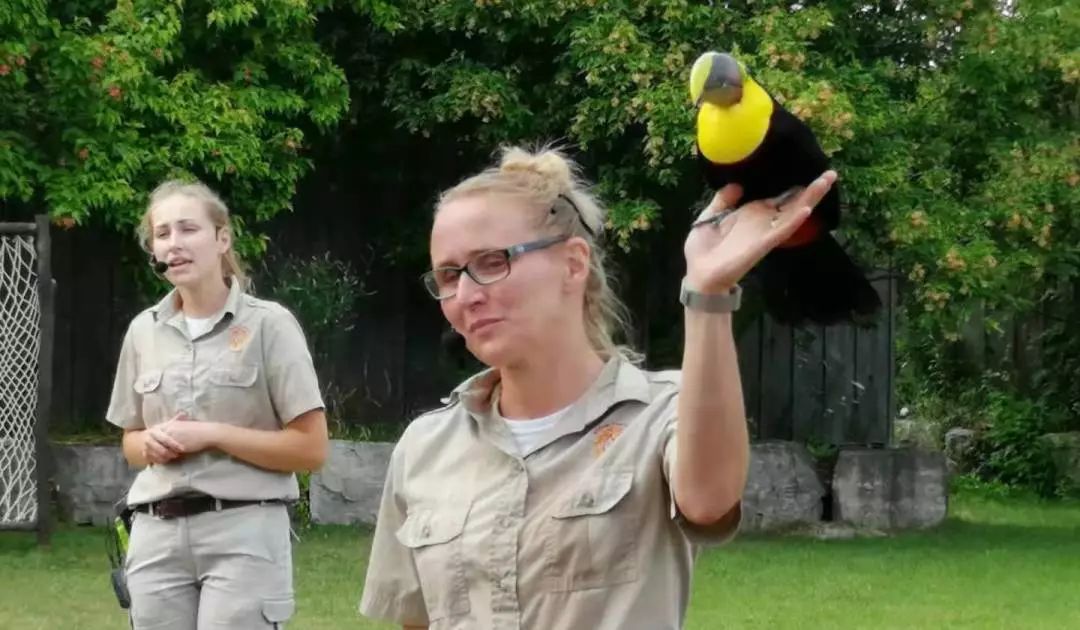 为长周末操碎心：野生动物园Safari一日游打卡实拍攻略