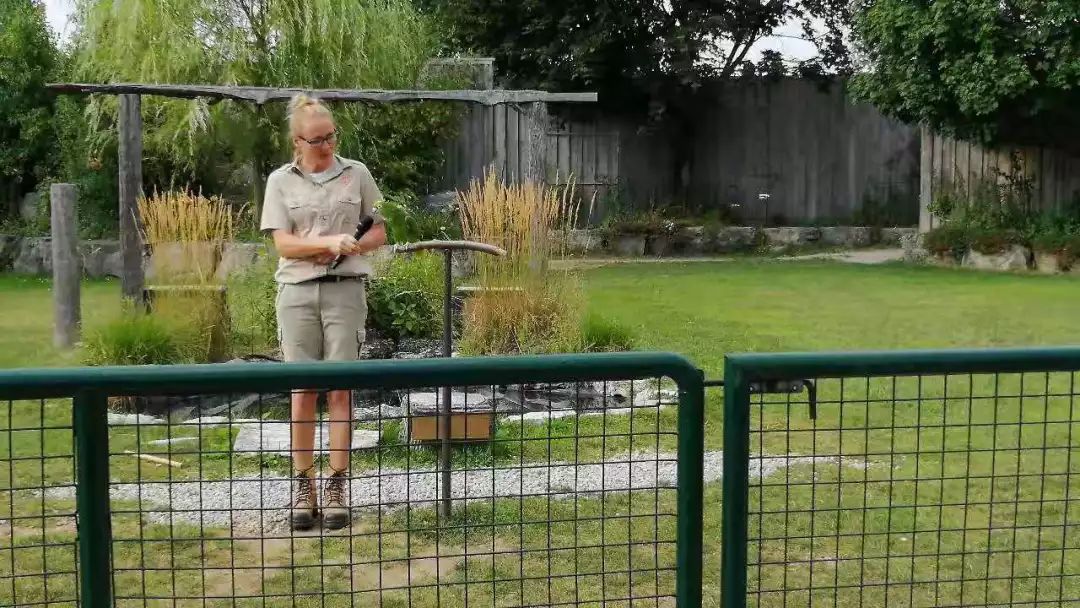 为长周末操碎心：野生动物园Safari一日游打卡实拍攻略