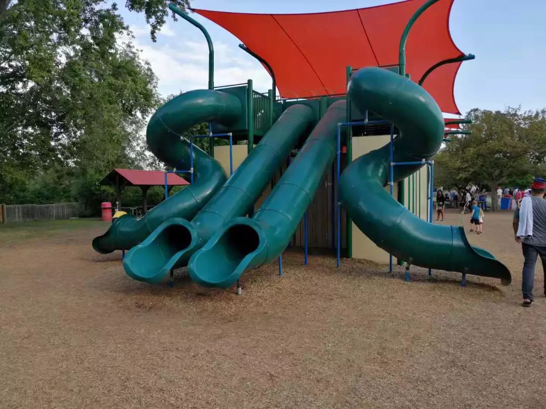 为长周末操碎心：野生动物园Safari一日游打卡实拍攻略