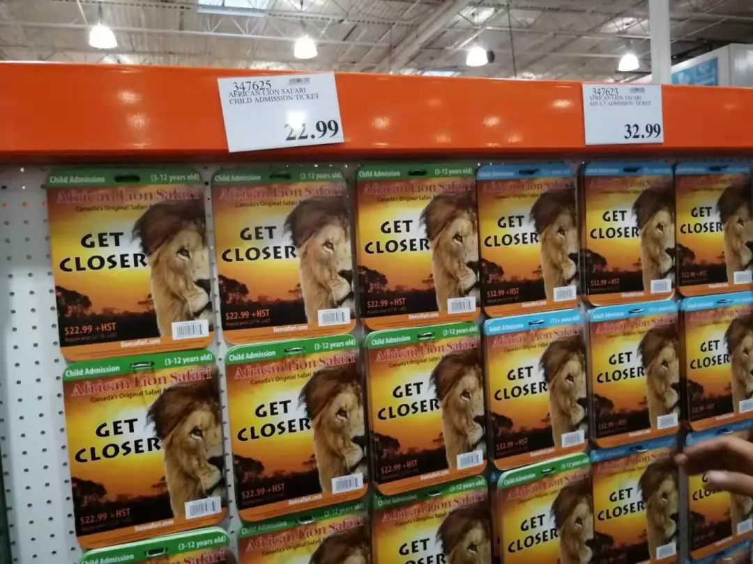 为长周末操碎心：野生动物园Safari一日游打卡实拍攻略