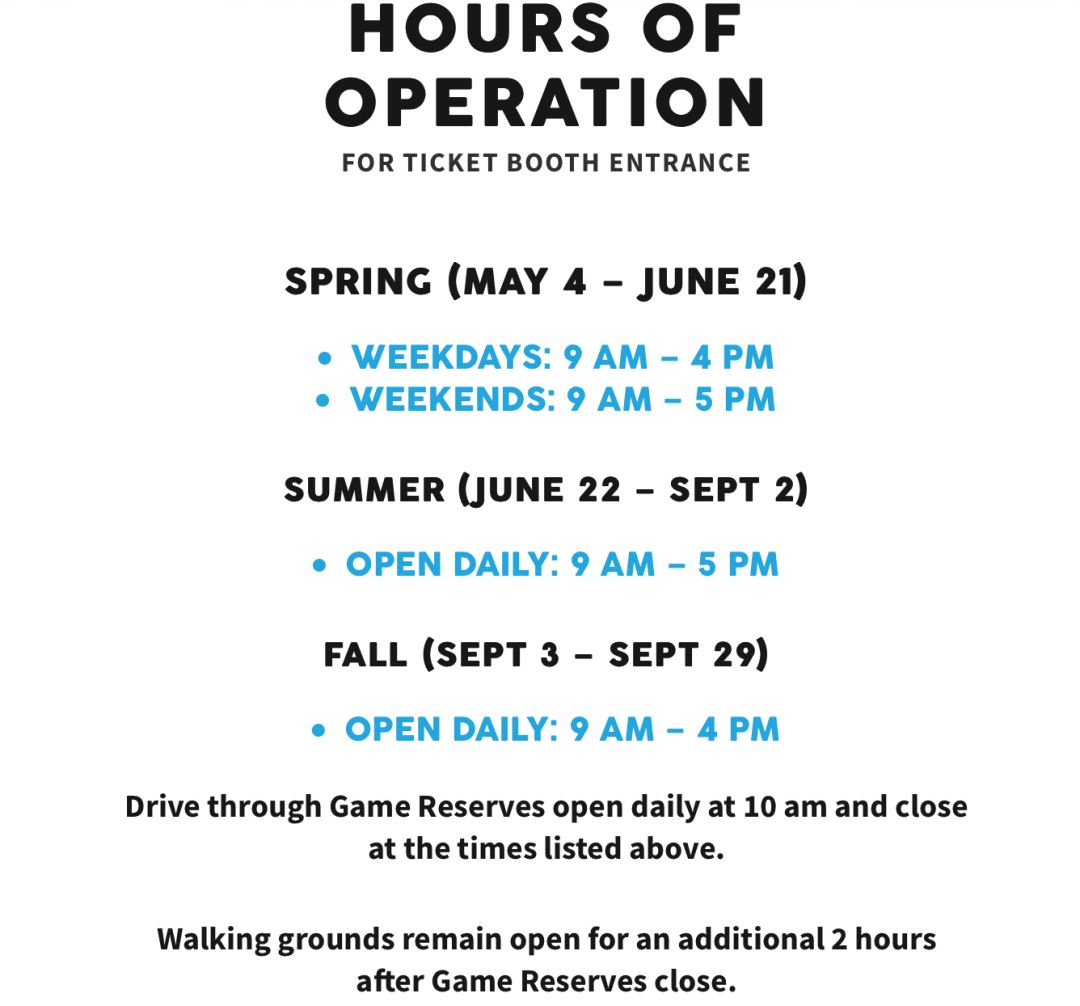 为长周末操碎心：野生动物园Safari一日游打卡实拍攻略