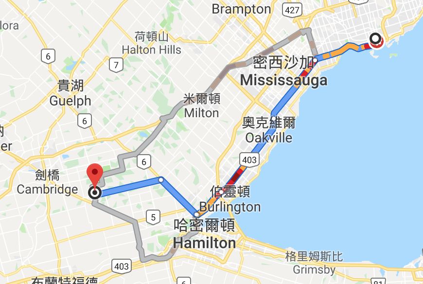 为长周末操碎心：野生动物园Safari一日游打卡实拍攻略