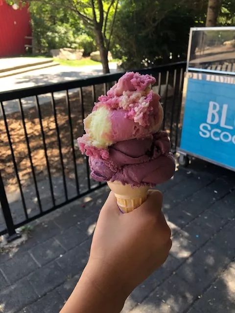 两天三夜带娃短途游：玩蓝山谁说一定要冬天！