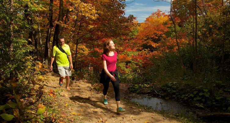 两天三夜带娃短途游：玩蓝山谁说一定要冬天！