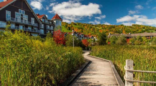 两天三夜带娃短途游：玩蓝山谁说一定要冬天！