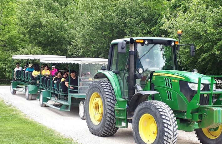 两天三夜带娃短途游：玩蓝山谁说一定要冬天！
