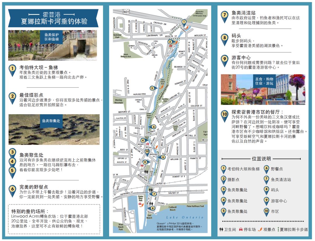 多伦多观赏三文鱼洄游最佳地：励志大神们又回来了！