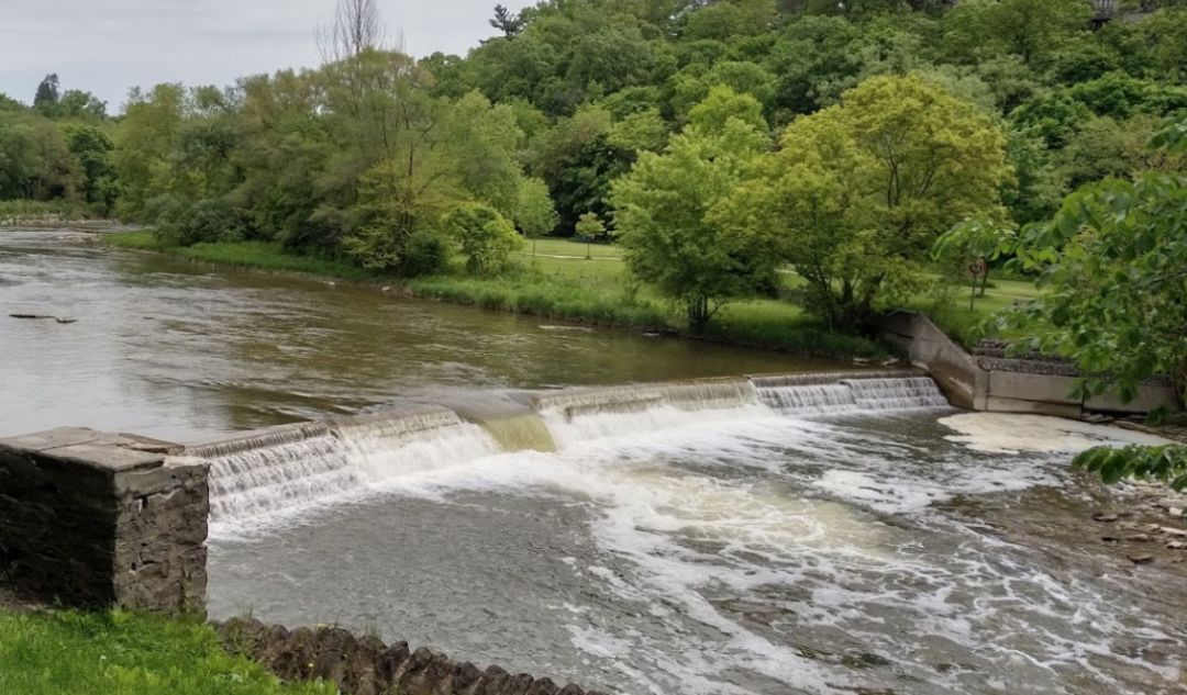 多伦多观赏三文鱼洄游最佳地：励志大神们又回来了！