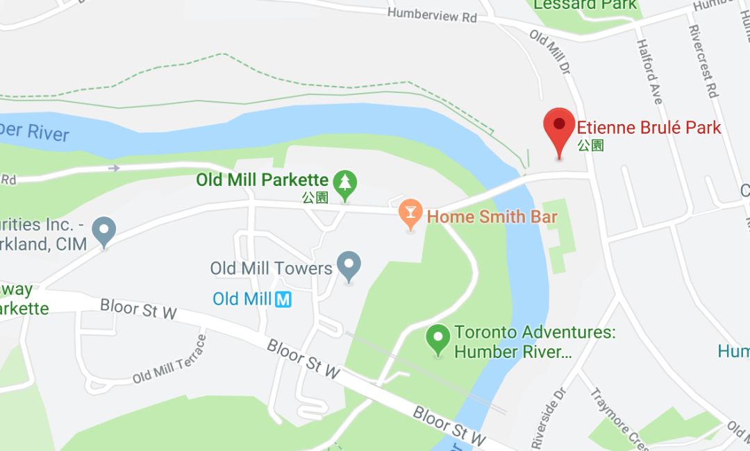 多伦多观赏三文鱼洄游最佳地：励志大神们又回来了！