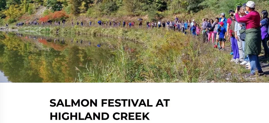 多伦多观赏三文鱼洄游最佳地：励志大神们又回来了！