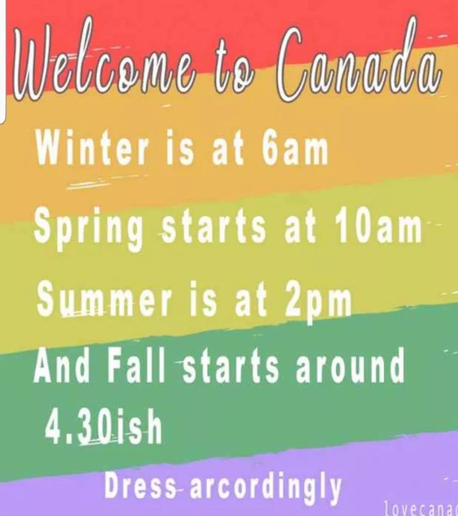 本周超市特价】N家battle现场，怎么省就看这篇！ | 多伦多妈妈部落