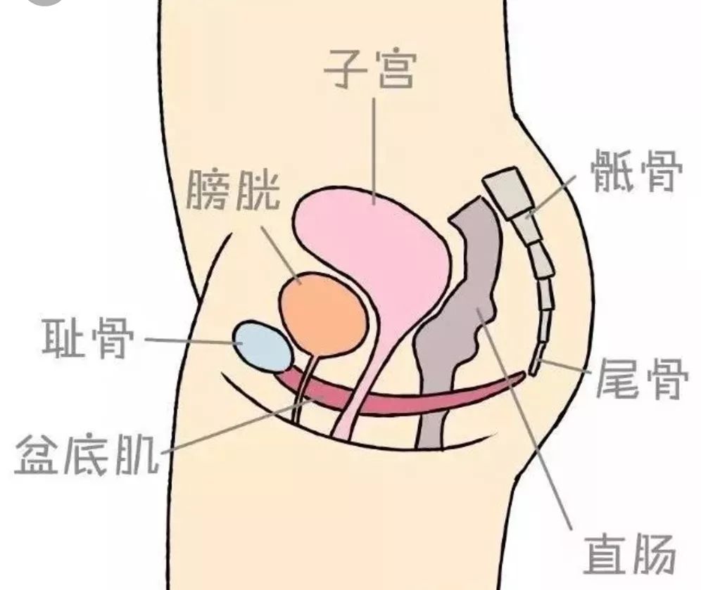 产后能做到这4点，明星同款身材你也能get！
