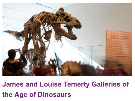 ROM博物馆免费玩！小本本上记好这几个日子！