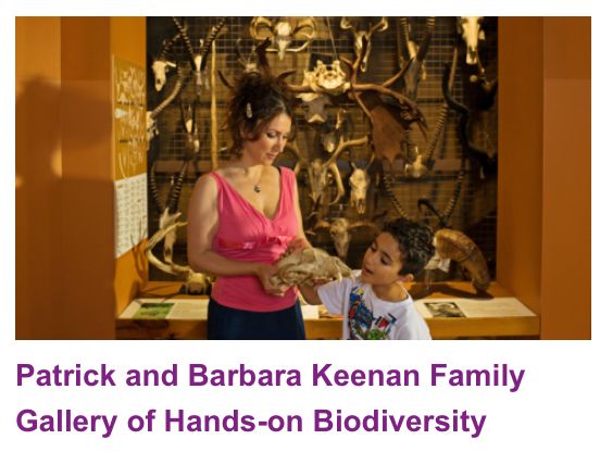 ROM博物馆免费玩！小本本上记好这几个日子！