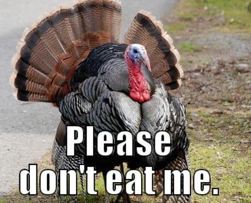 Costco烤鸡的灵魂吃法：这个感恩节不吃火鸡！