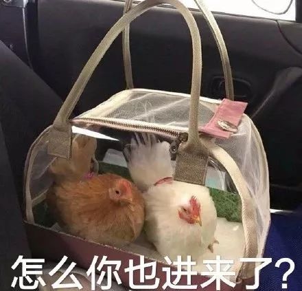 “看了一场时装秀，我把T台笑塌了”，真的不懂时尚圈....