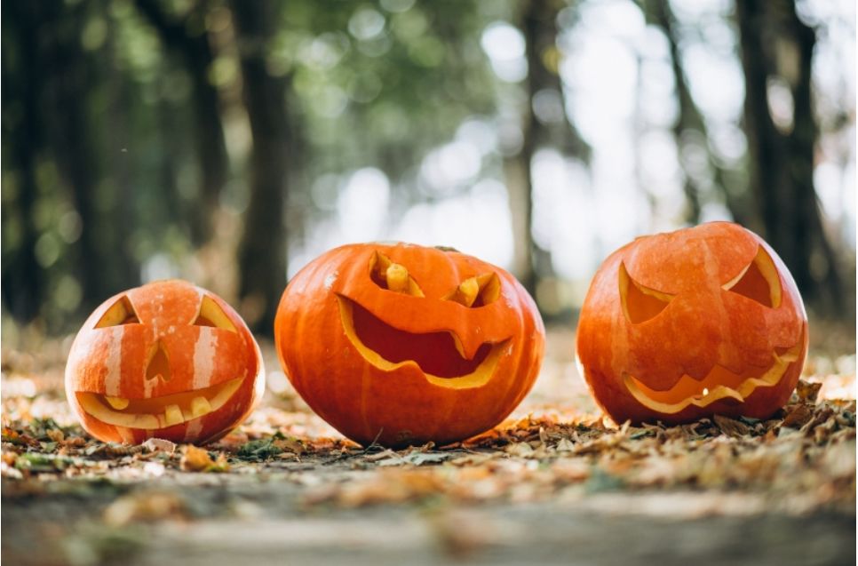 妈妈说：万圣节是最不该让孩子过的节日！毫无益处！