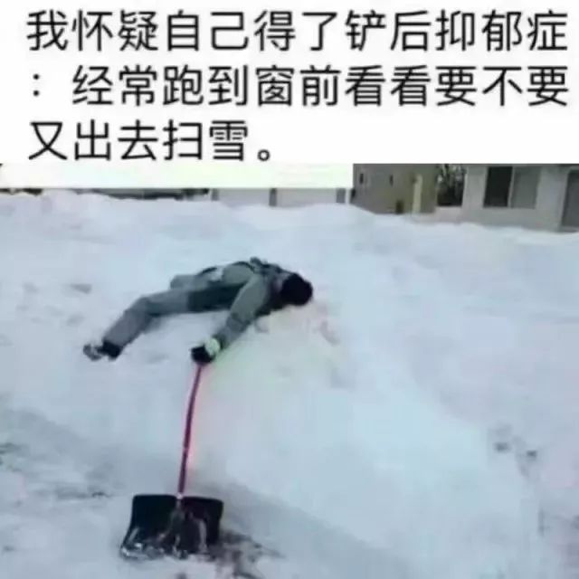 多伦多市政：雪停了！赶紧铲雪！要不然$570的罚单等着你！