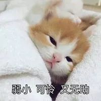 手把手教你成为合格的派对主人！
