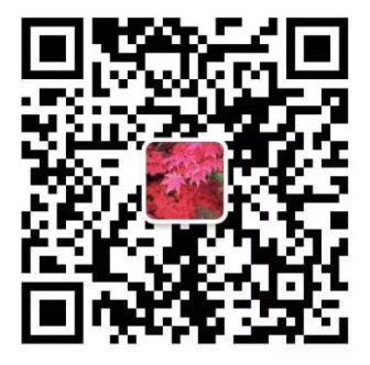 手把手教你成为合格的派对主人！