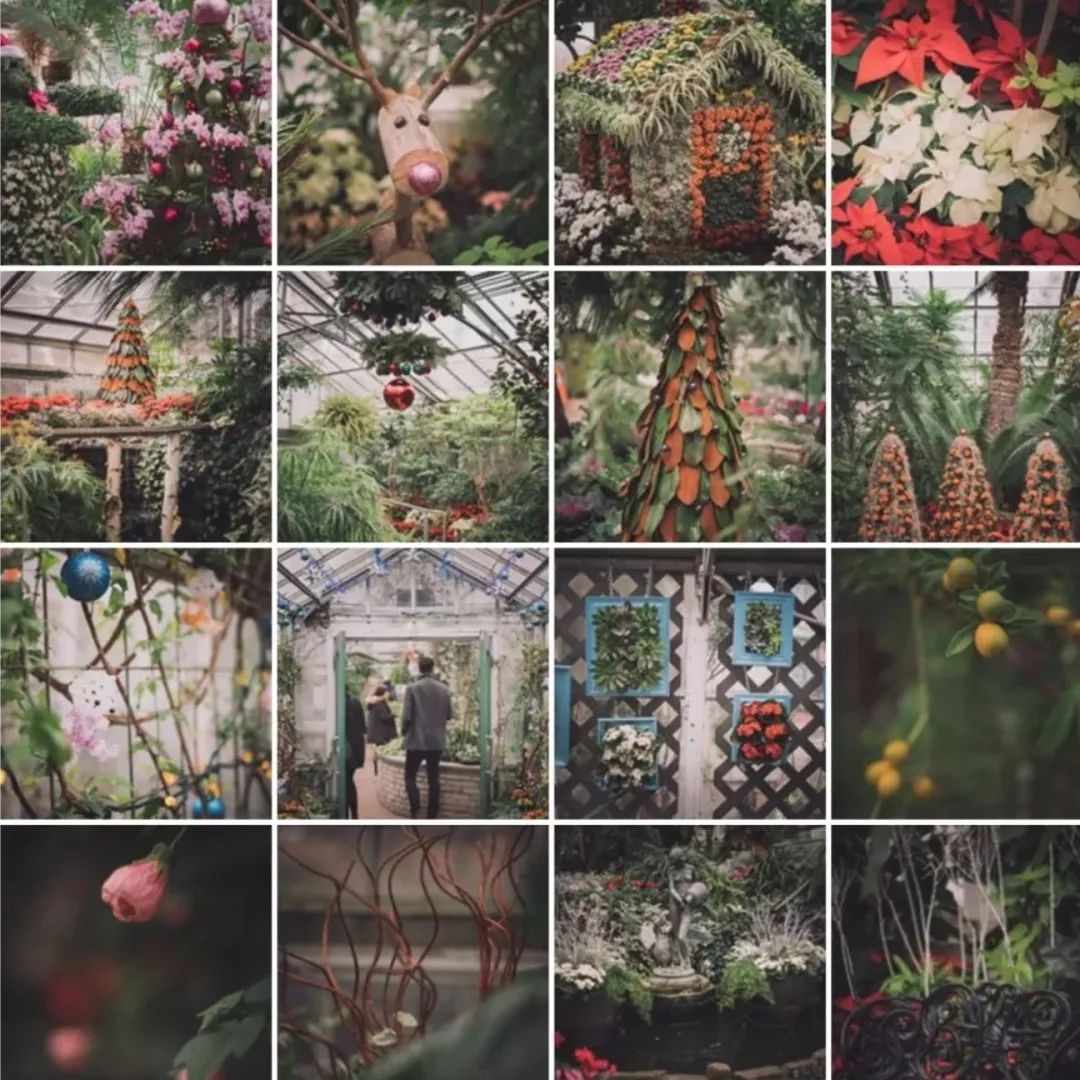 周末遛娃一定要抓住这几个关键词：圣诞！火车！灯光！嘉年华！