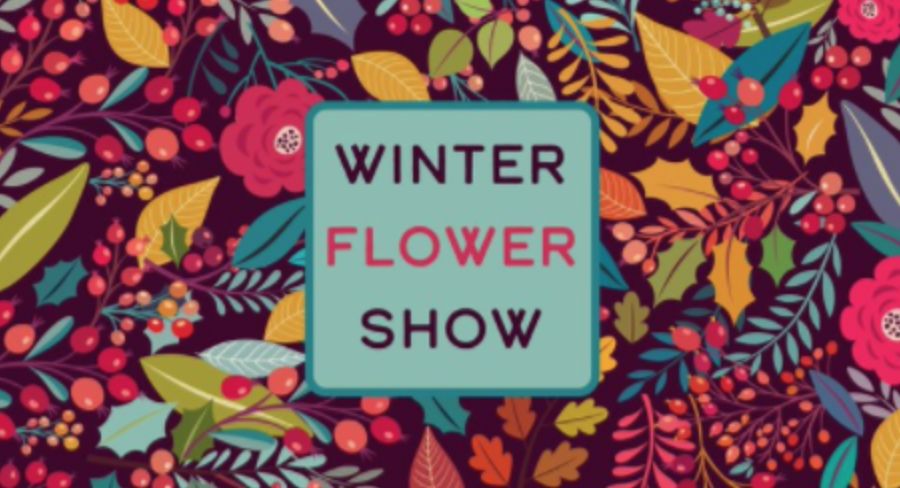 周末遛娃一定要抓住这几个关键词：圣诞！火车！灯光！嘉年华！