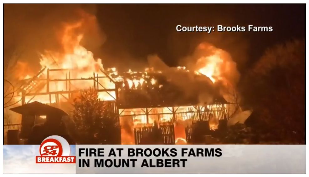 一年四季能遛娃的Brooks Farm着大火了！还能愉快玩耍吗？