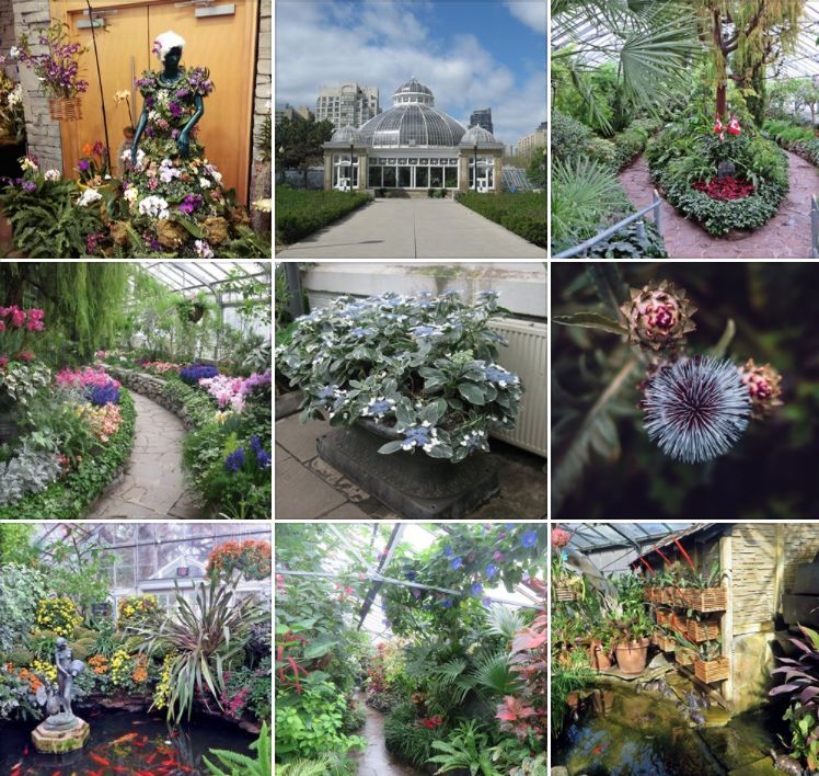 冬天太boring?!那是你不会玩!嗨玩多伦多最全攻略 冬天太boring?!那是你不会玩!嗨玩多伦多最全攻略