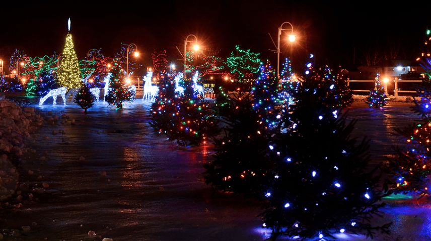 冬天太boring?!那是你不会玩!嗨玩多伦多最全攻略 冬天太boring?!那是你不会玩!嗨玩多伦多最全攻略