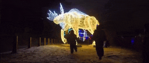 冬天太boring?!那是你不会玩!嗨玩多伦多最全攻略 冬天太boring?!那是你不会玩!嗨玩多伦多最全攻略