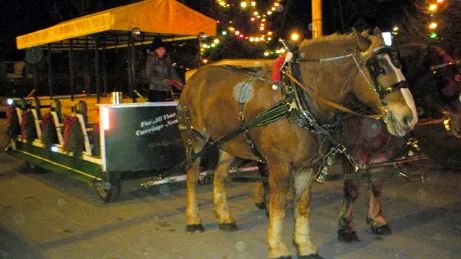 冬天太boring?!那是你不会玩!嗨玩多伦多最全攻略 冬天太boring?!那是你不会玩!嗨玩多伦多最全攻略