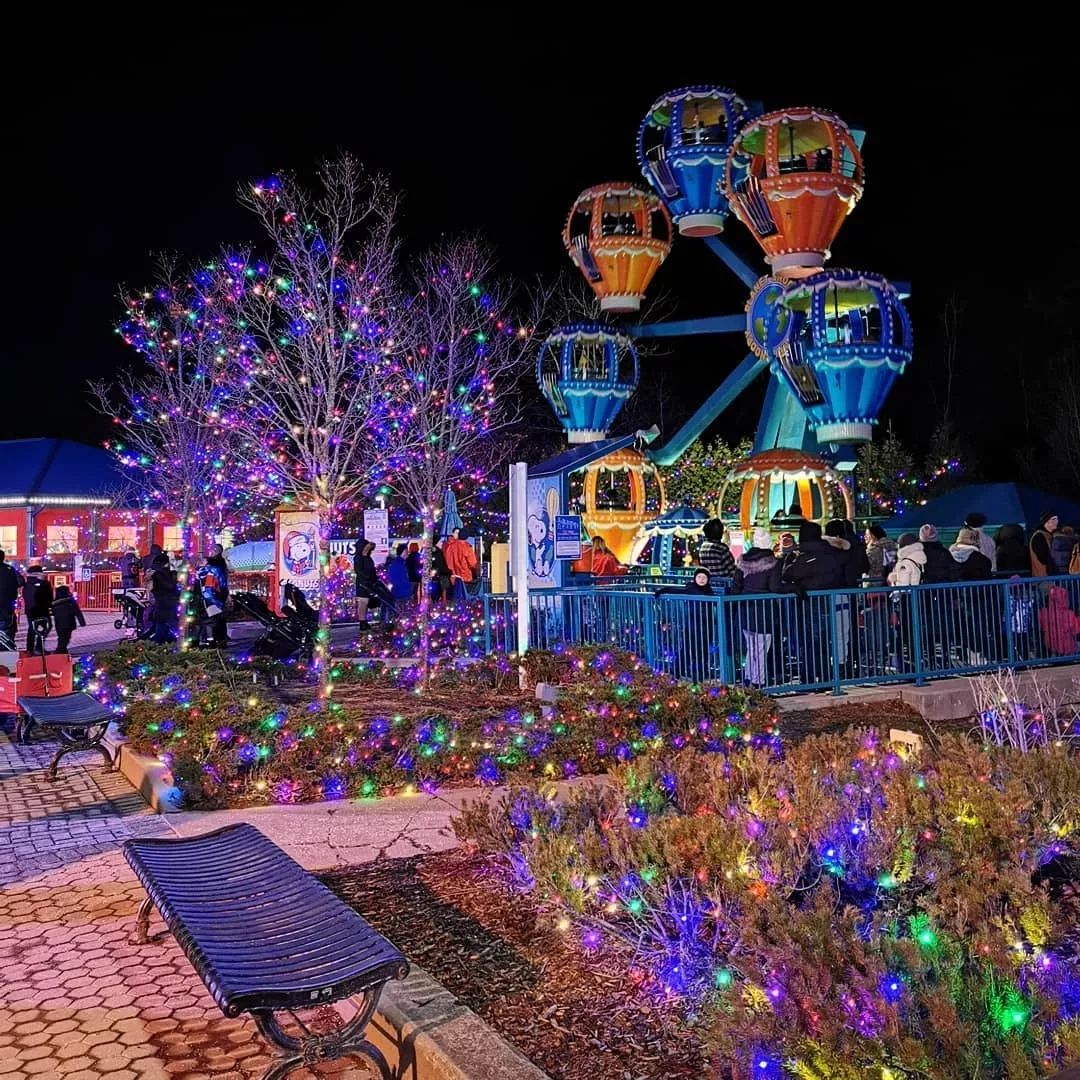 冬天太boring?!那是你不会玩!嗨玩多伦多最全攻略 冬天太boring?!那是你不会玩!嗨玩多伦多最全攻略