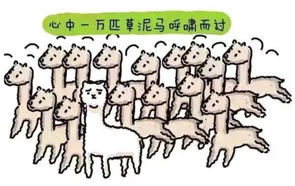 戏精情侣发假罚单恶搞！多伦多数百车主被耍......