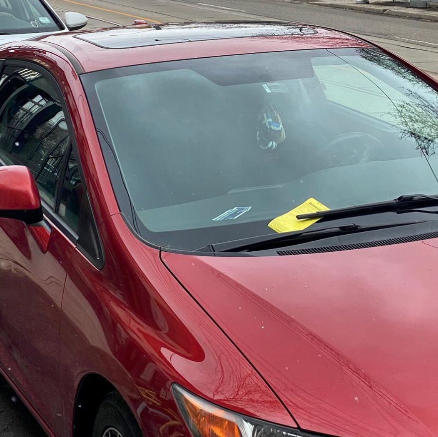 戏精情侣发假罚单恶搞！多伦多数百车主被耍......