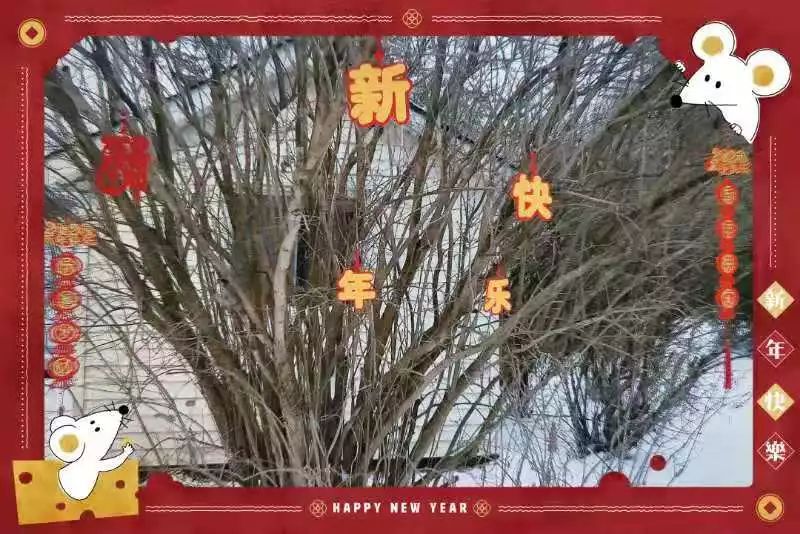 春节高定亲子游:古堡中国年,实在太会玩了! 春节高定亲子游:古堡中国年,实在太会玩了!