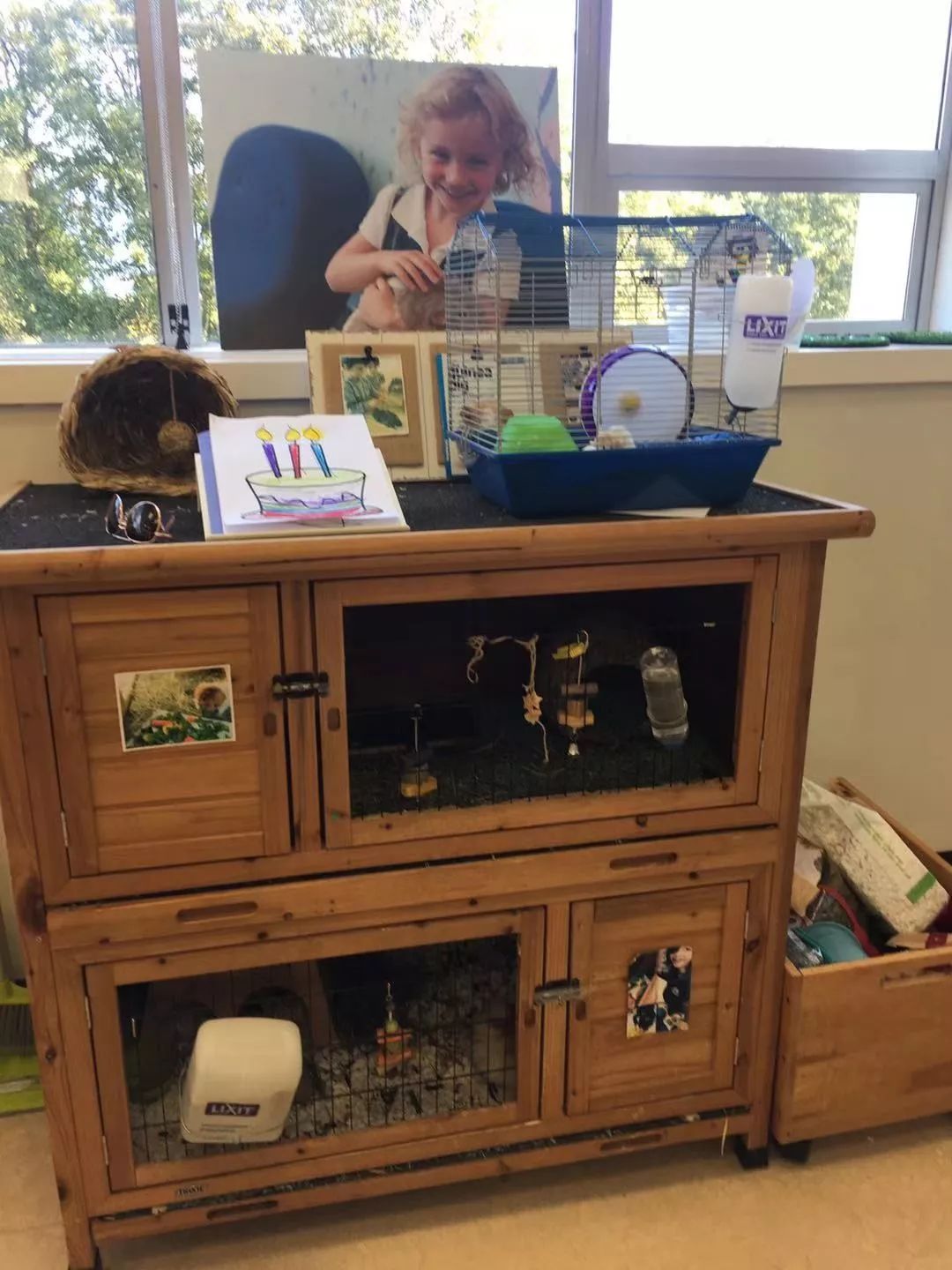 在加拿大考察幼儿园，我就是最事的那个妈