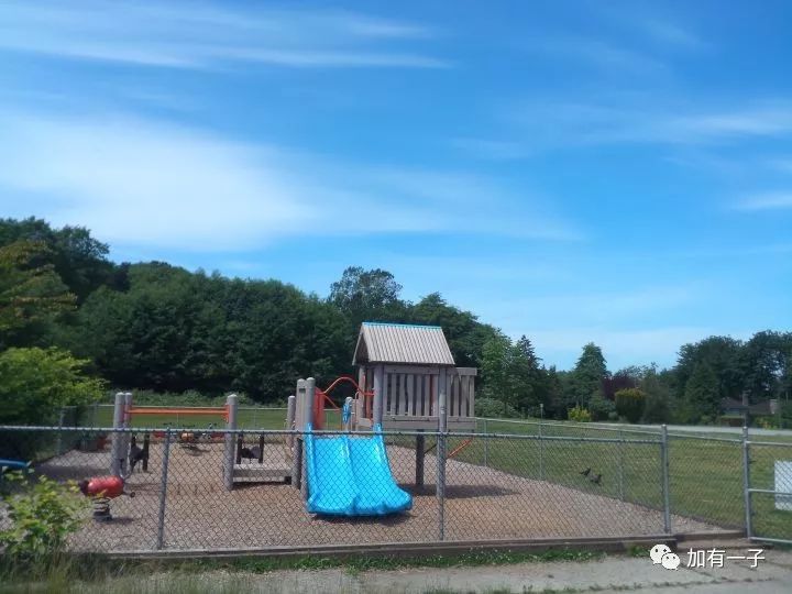 在加拿大考察幼儿园，我就是最事的那个妈