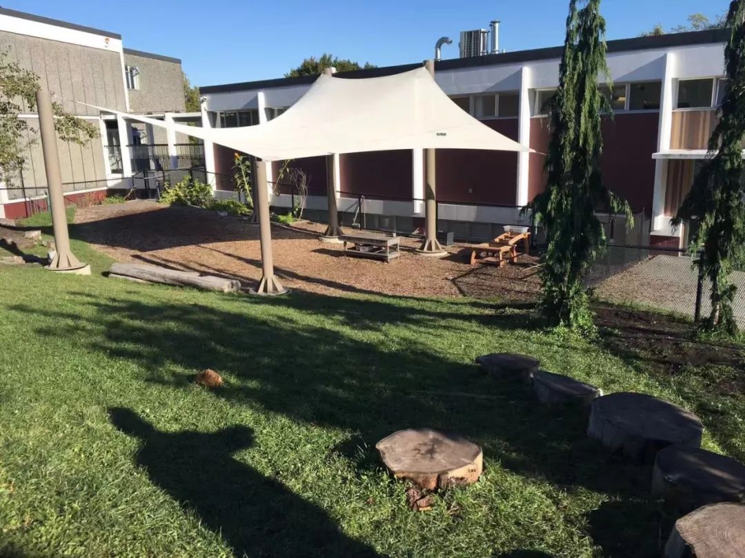 在加拿大考察幼儿园，我就是最事的那个妈