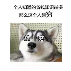 Costco保健品春节特惠:过了一个假年,省一笔真钱! Costco保健品春节特惠:过了一个假年,省一笔真钱!