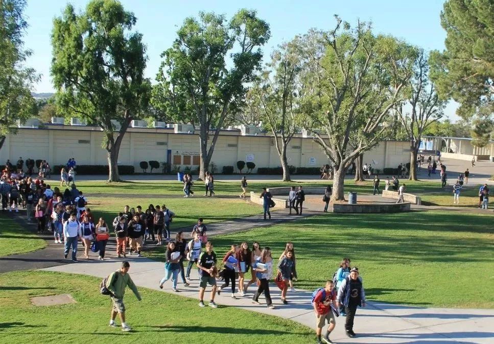 约克教育局YRDSB学校推荐