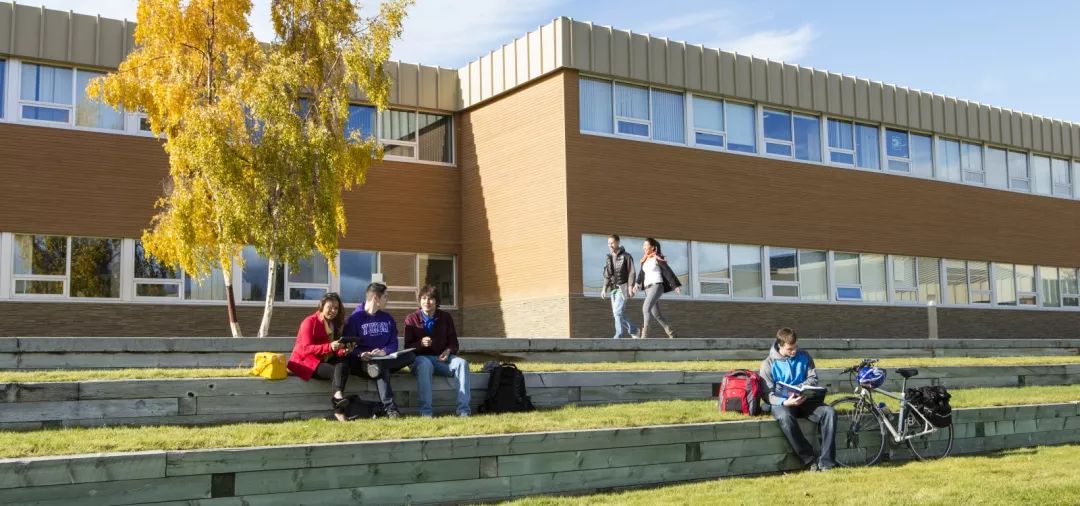 带你了解YRDSB约克教育局！