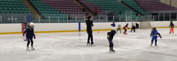 天暖了,老母亲却又发愁了!到哪去给娃找室内冰场和专业教练? 天暖了,老母亲却又发愁了!到哪去给娃找室内冰场和专业教练?