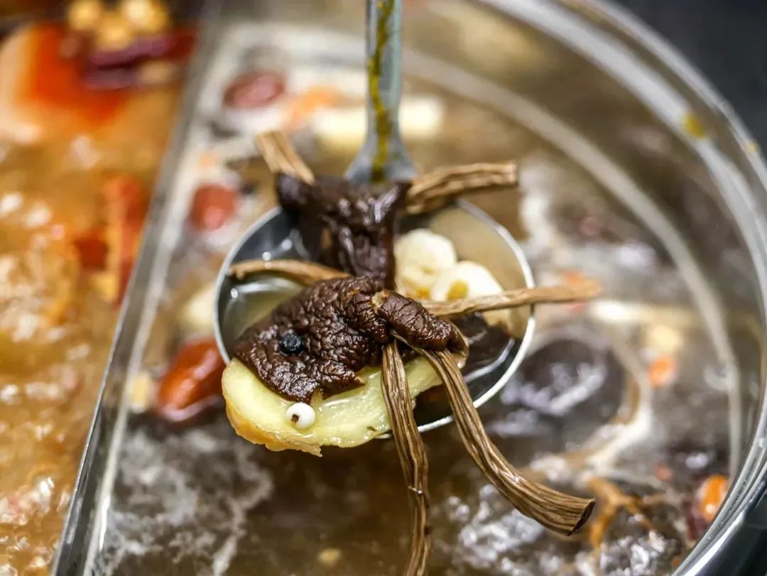 又送霸王餐!这家口碑刷屏的火锅外卖,真的会吃上瘾! 又送霸王餐!这家口碑刷屏的火锅外卖,真的会吃上瘾!