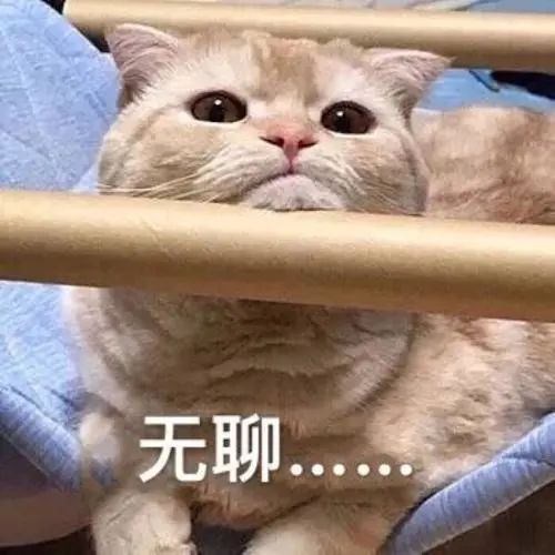 低筋、中筋、高筋面粉傻傻分不清楚?你浪费的那些面粉有讲究! 低筋、中筋、高筋面粉傻傻分不清楚?你浪费的那些面粉有讲究!