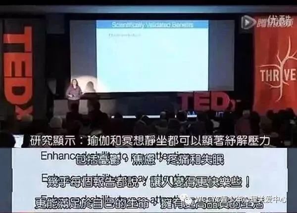 WCCYC公益讲座系列|缓解疫情带来的恐慌焦虑，从冥想开始……